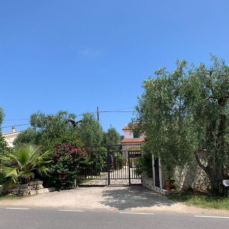Villa Monica Appartamenti Vieste Bagian luar foto