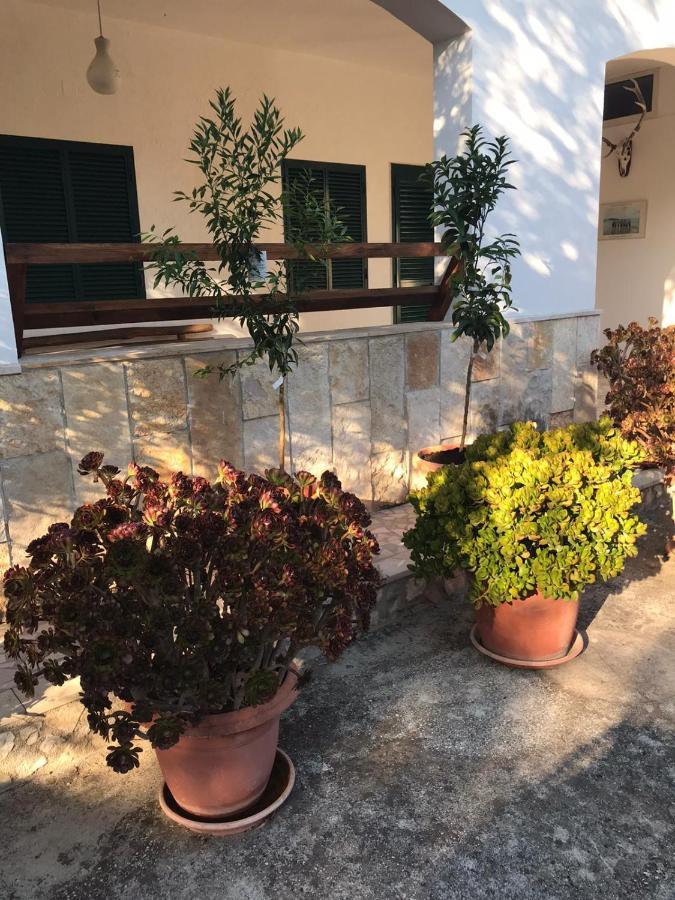 Villa Monica Appartamenti Vieste Bagian luar foto