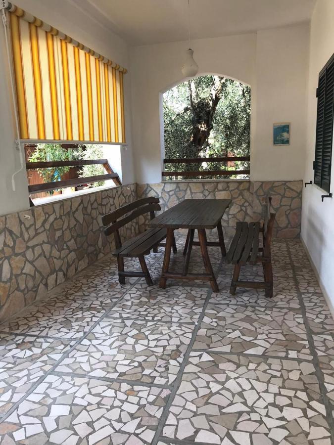 Villa Monica Appartamenti Vieste Bagian luar foto