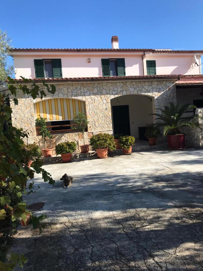 Villa Monica Appartamenti Vieste Bagian luar foto