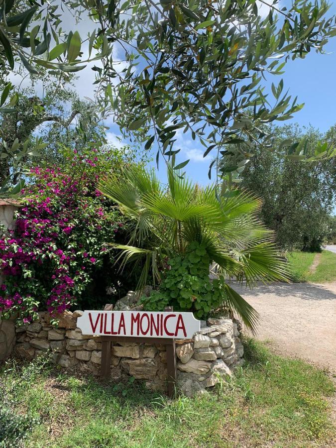 Villa Monica Appartamenti Vieste Bagian luar foto