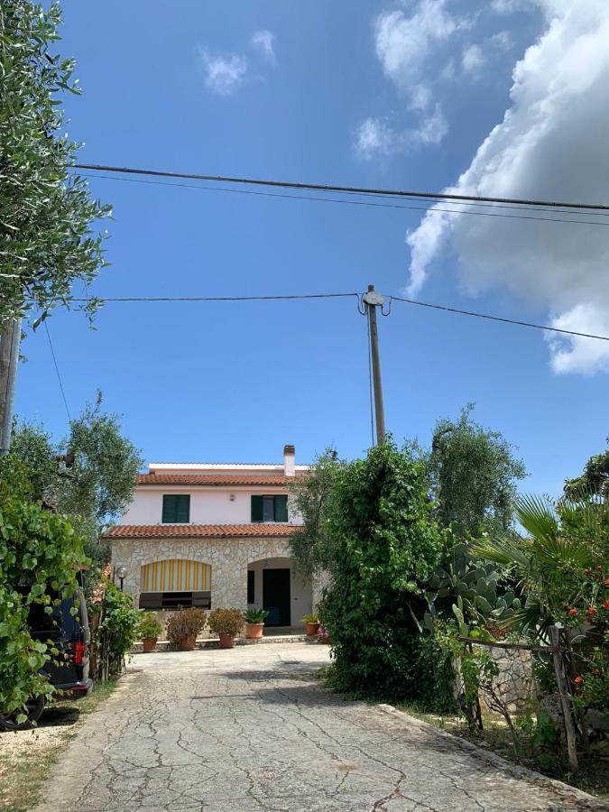Villa Monica Appartamenti Vieste Bagian luar foto