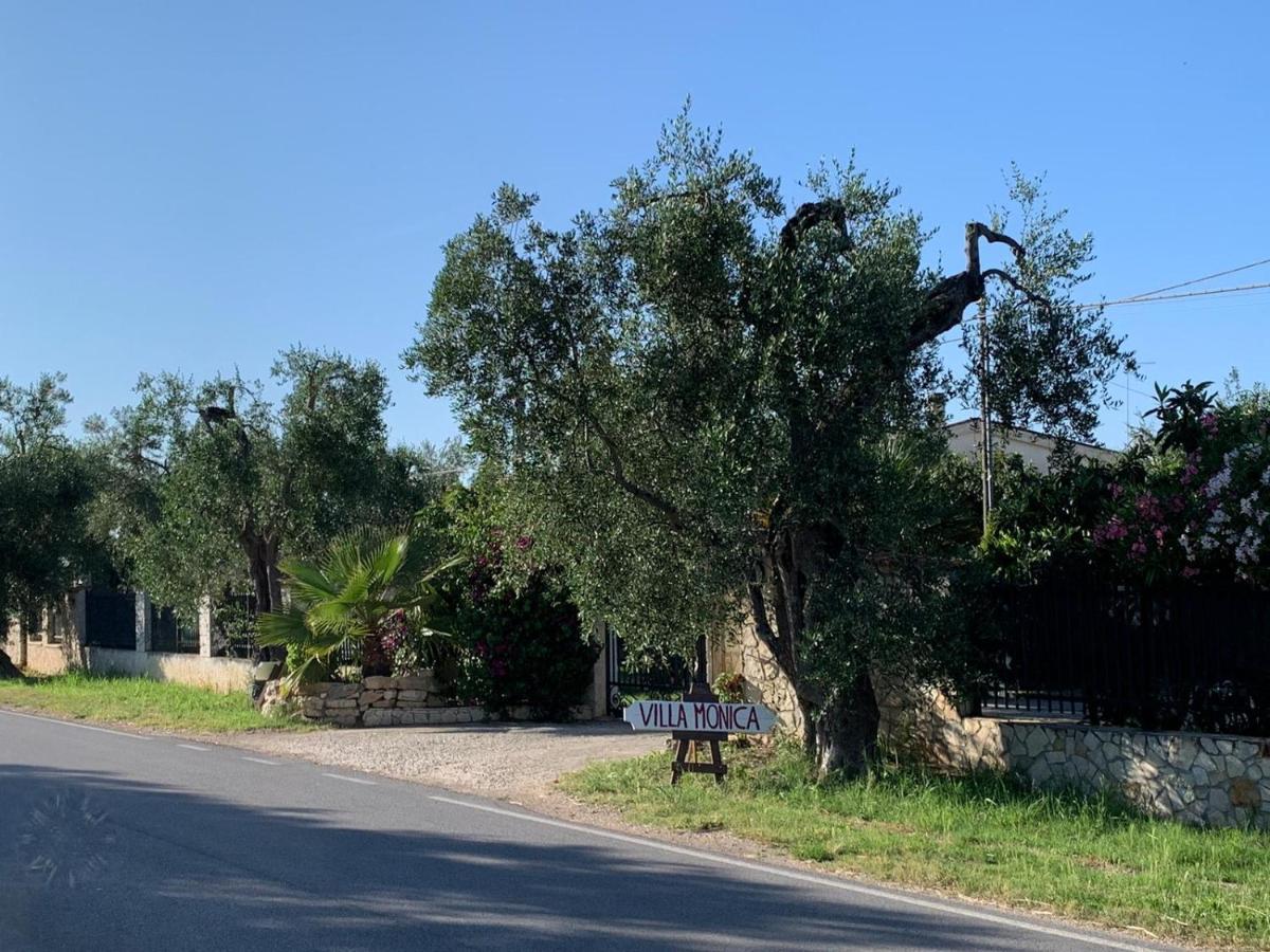 Villa Monica Appartamenti Vieste Bagian luar foto