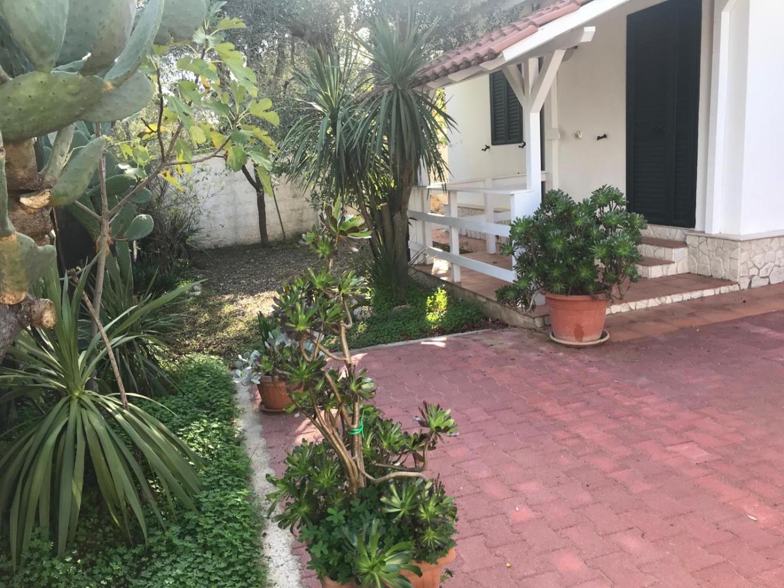 Villa Monica Appartamenti Vieste Bagian luar foto