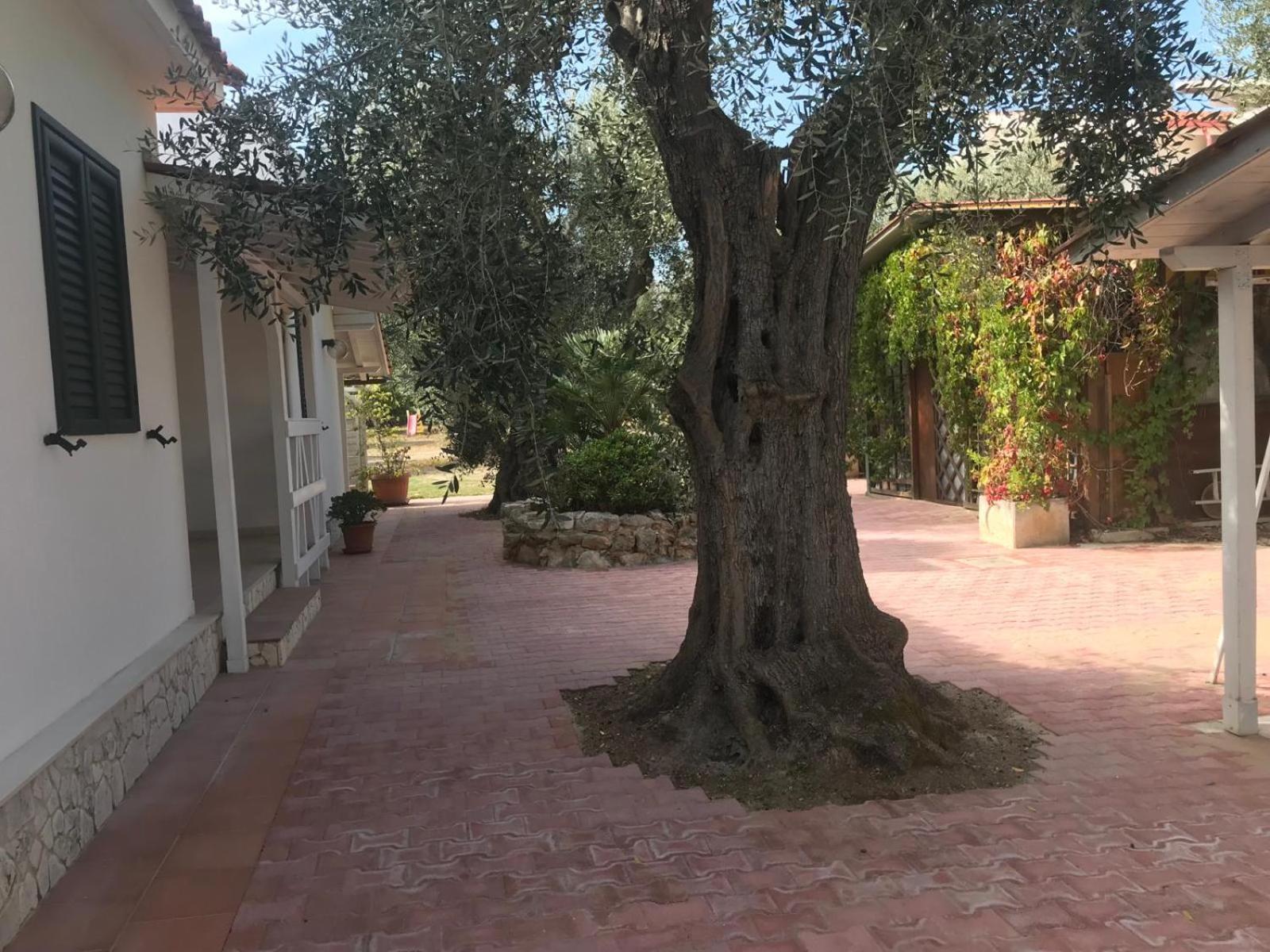 Villa Monica Appartamenti Vieste Bagian luar foto