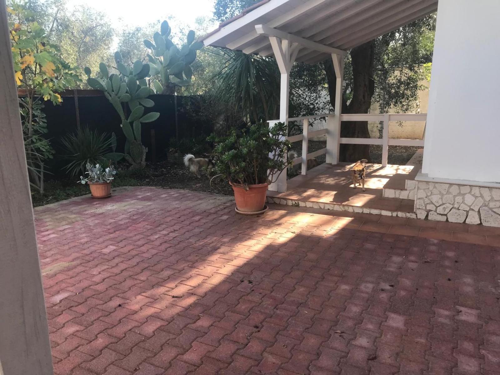 Villa Monica Appartamenti Vieste Bagian luar foto
