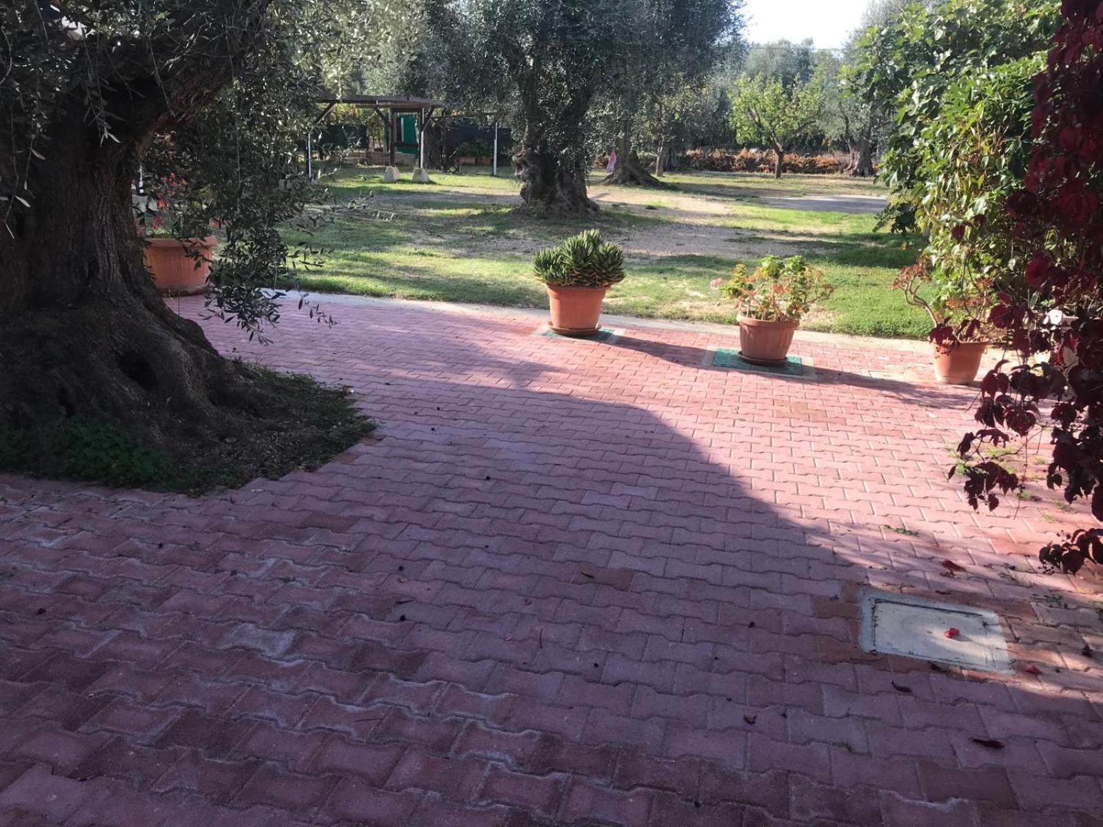 Villa Monica Appartamenti Vieste Bagian luar foto
