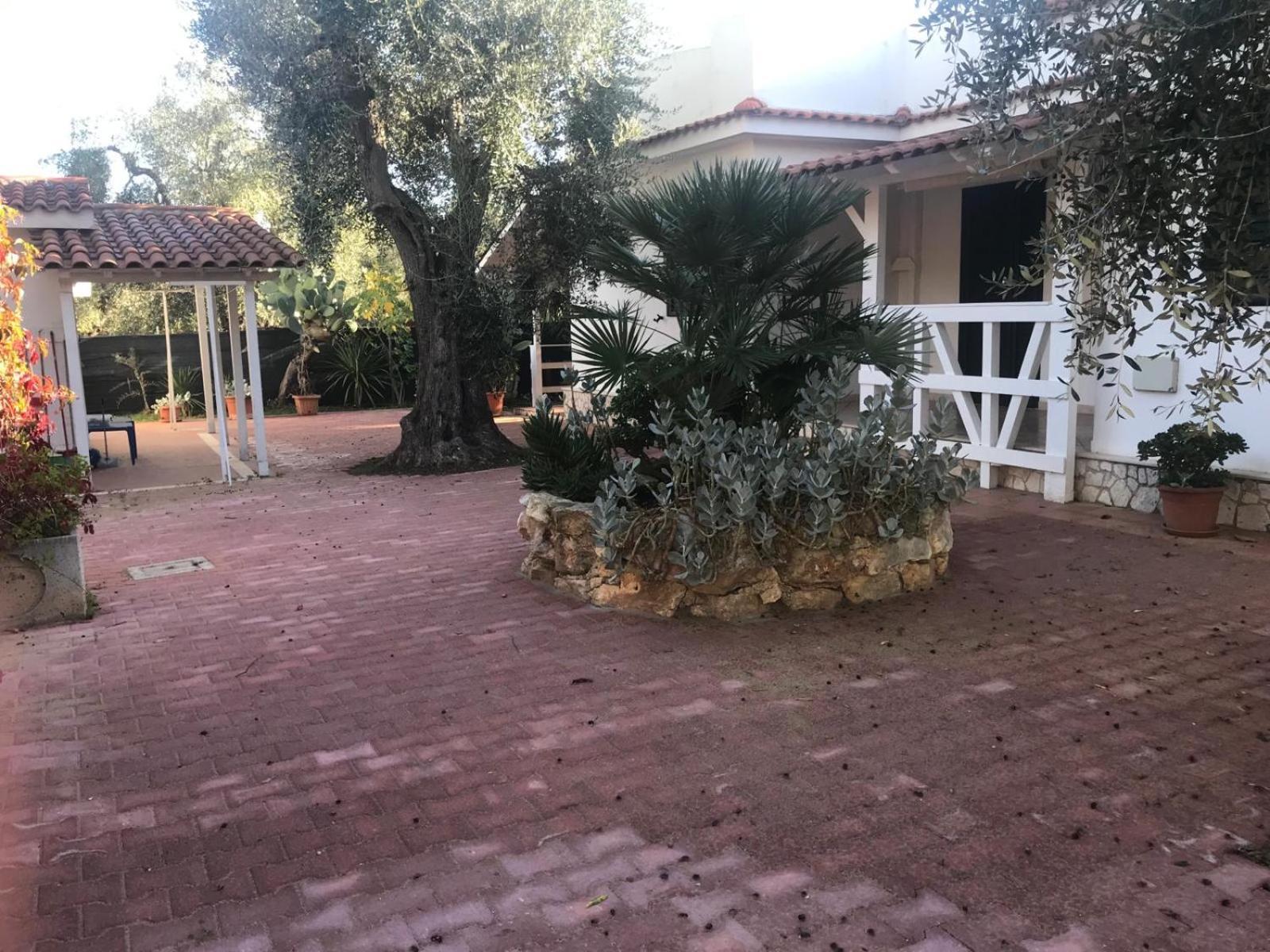 Villa Monica Appartamenti Vieste Bagian luar foto
