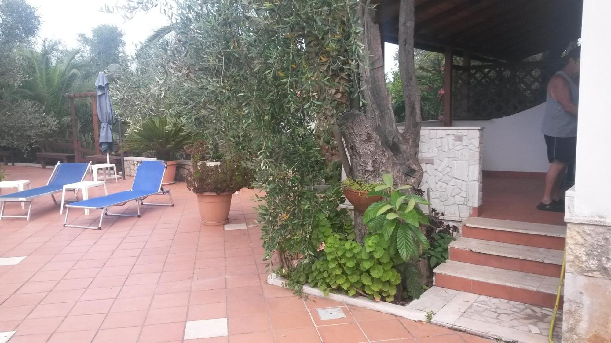 Villa Monica Appartamenti Vieste Bagian luar foto