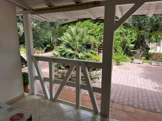 Villa Monica Appartamenti Vieste Bagian luar foto