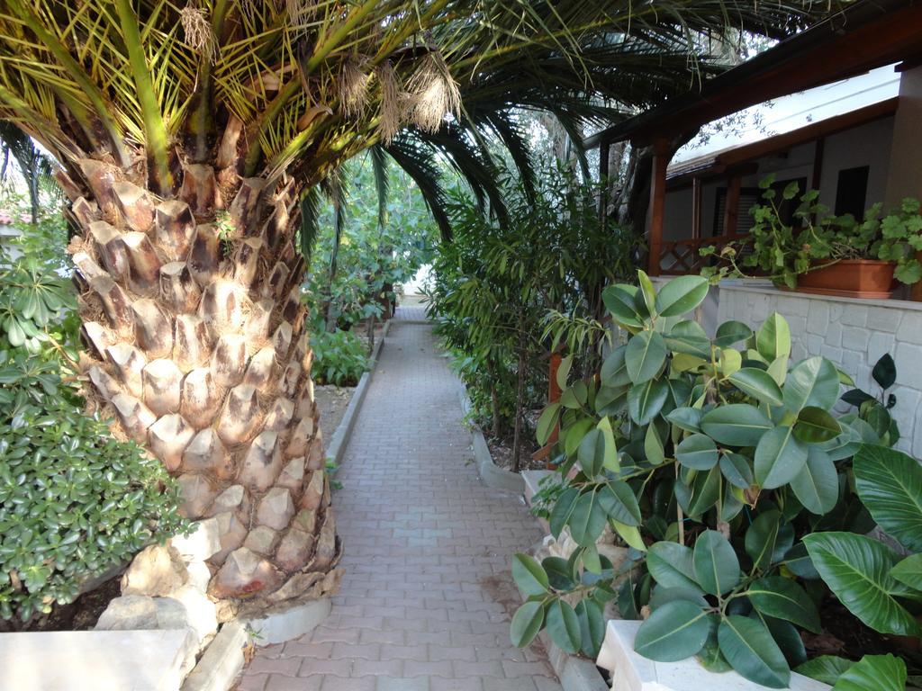 Villa Monica Appartamenti Vieste Bagian luar foto