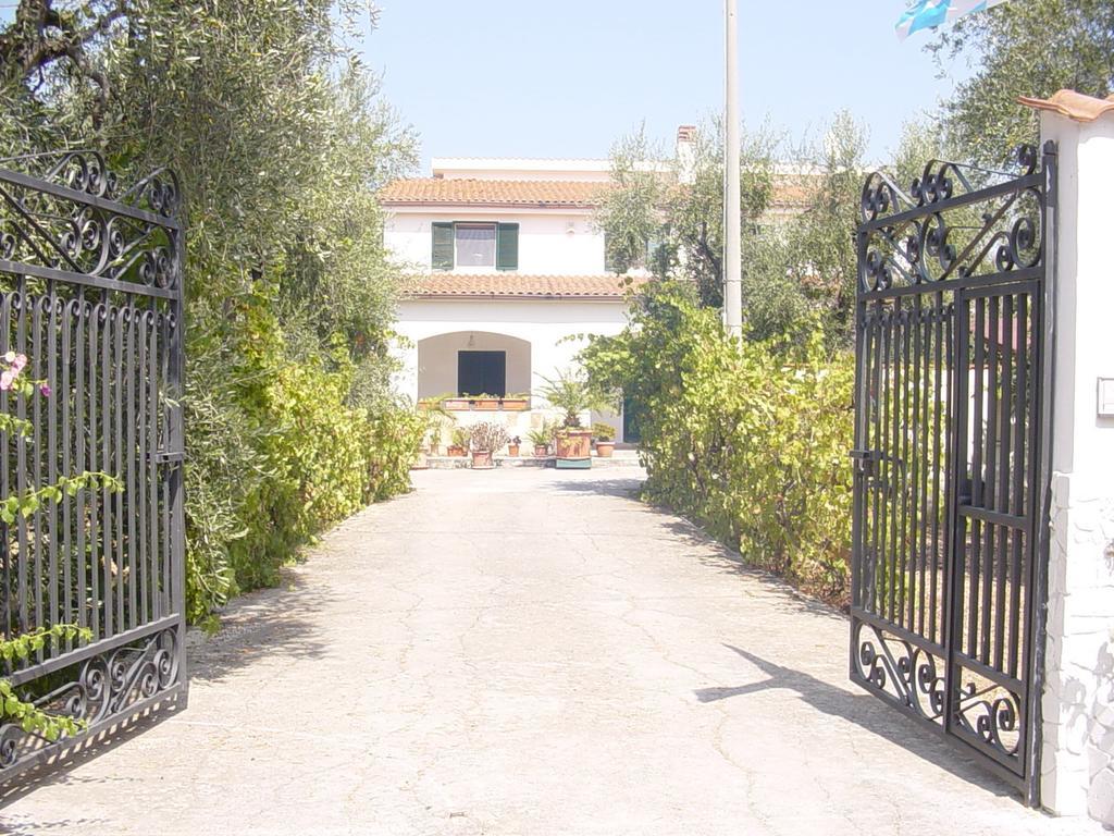 Villa Monica Appartamenti Vieste Bagian luar foto