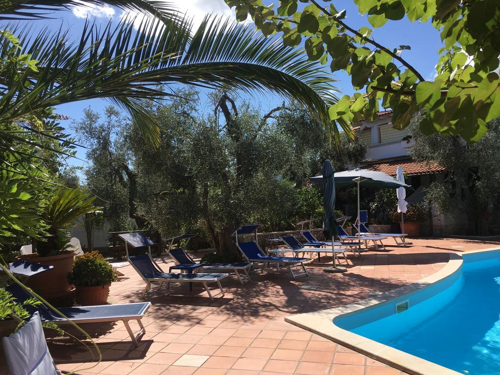 Villa Monica Appartamenti Vieste Bagian luar foto