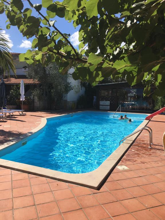 Villa Monica Appartamenti Vieste Bagian luar foto