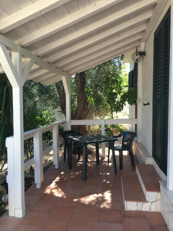 Villa Monica Appartamenti Vieste Bagian luar foto